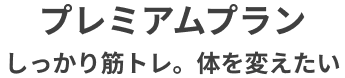 プレミアムプラン 無理なく結果を出したい方へ